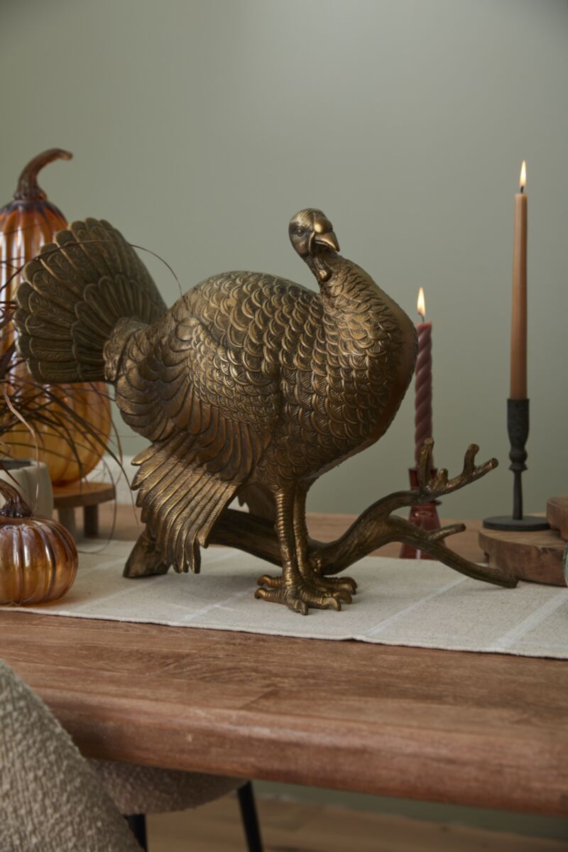 Merriam Turkey